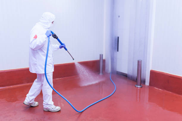 Best Dumpster Area Cleaning  in El Cenizo, TX