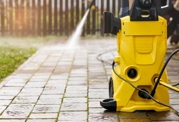 Best Animal Enclosure Cleaning  in El Cenizo, TX